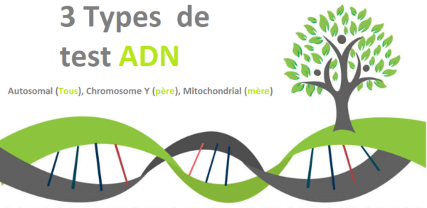 Les meilleurs test ADN de généalogie Conseil Géant